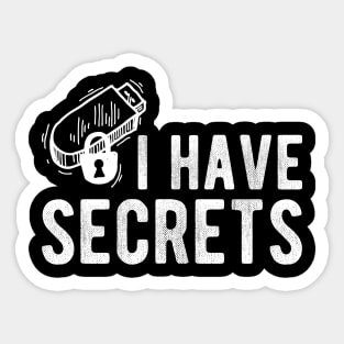 USB I Have Secrets Sticker